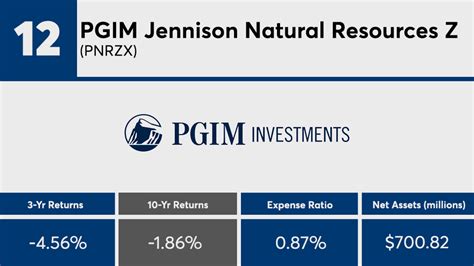 pnrzx|PGIM Jennison Natural Resources Z PNRZX Fund Analysis.